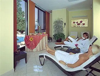 Hotel Savoy Palace Gardone Riviera 4*,